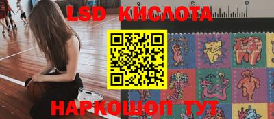 стаф Донской