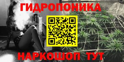 стаф Донской
