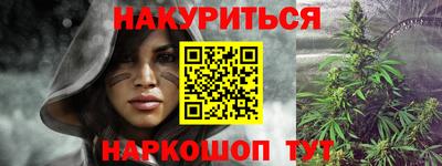 стаф Донской