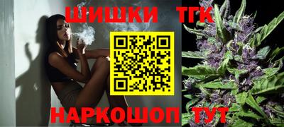 стаф Донской