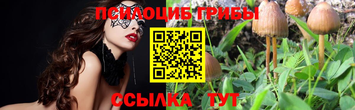 Псилоцибиновые грибы Magic Shrooms Медногорск